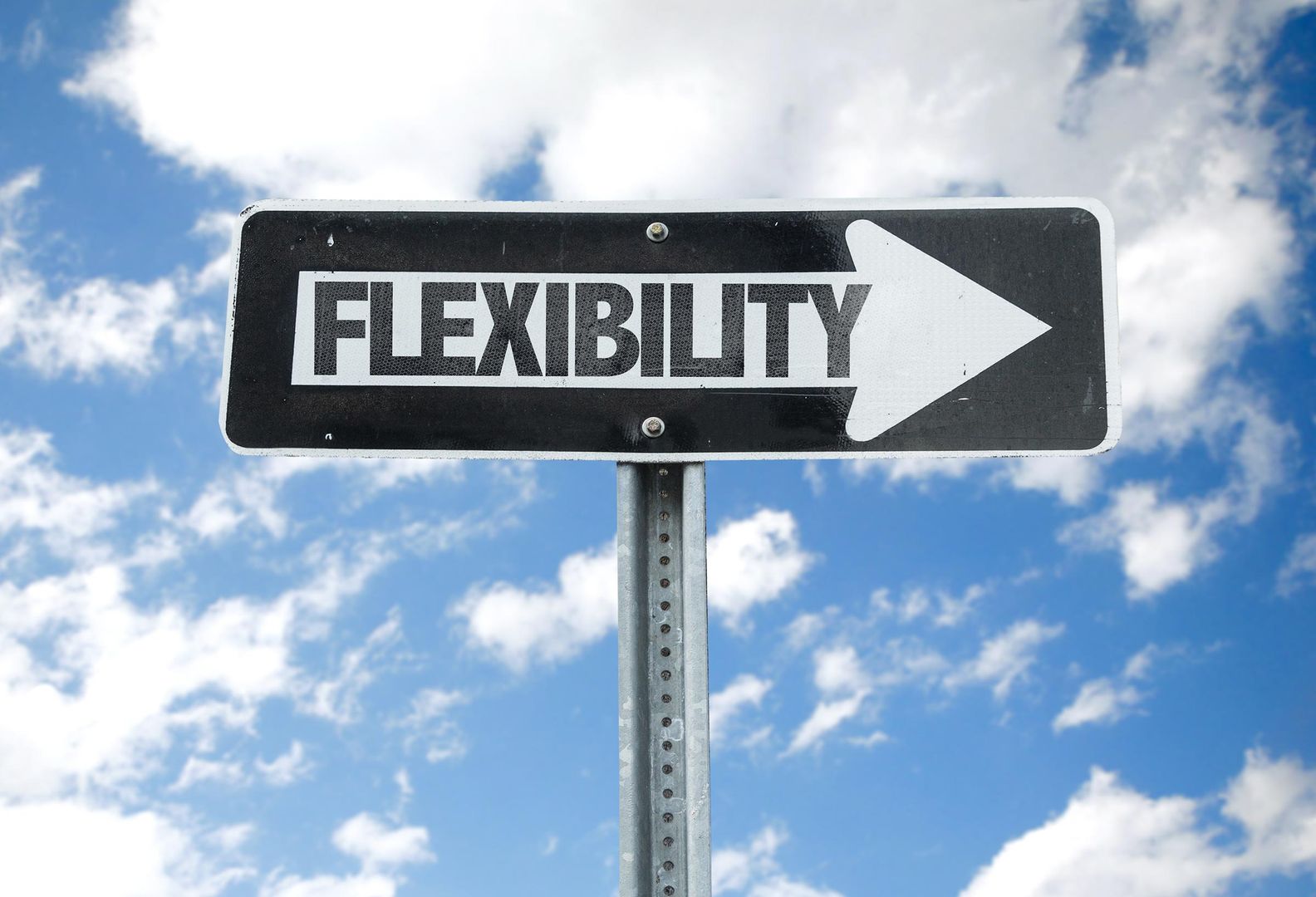 Flexibility in the Energy Grid explained and future pathways analyzed.