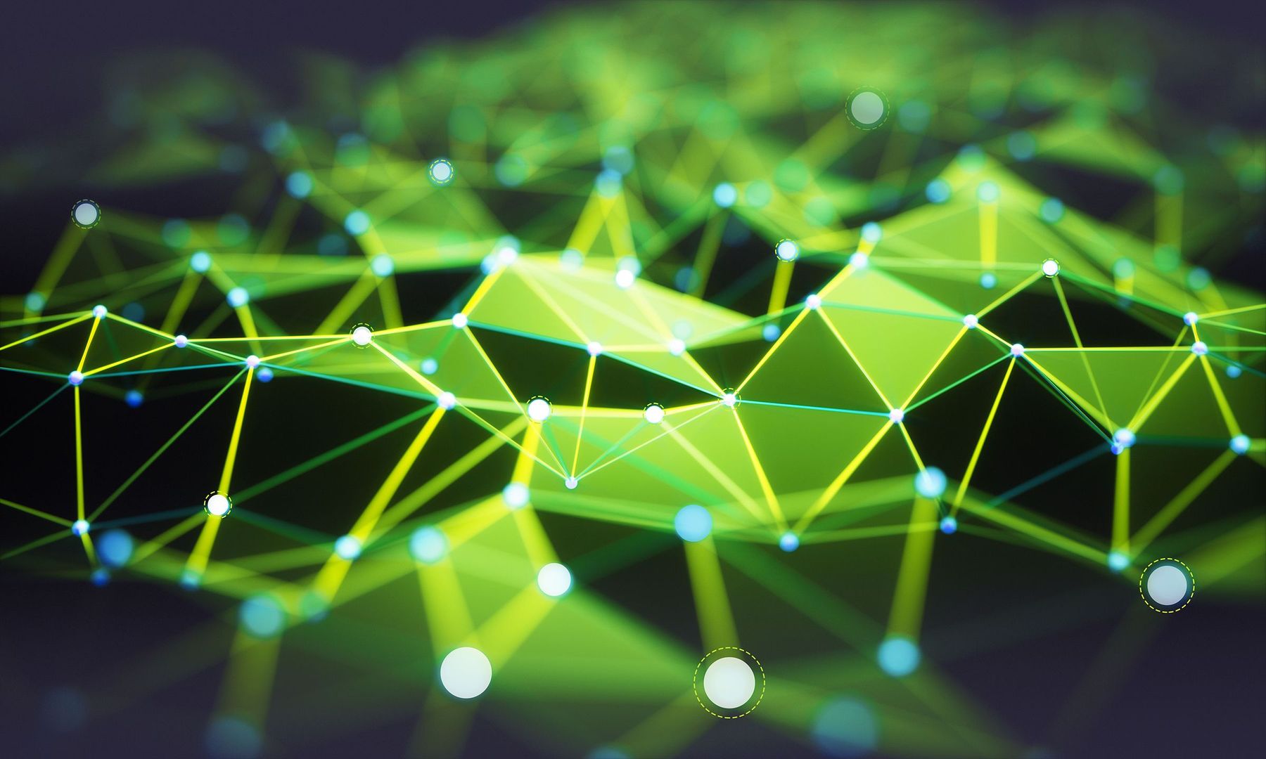VPP-software as a service solution Nemocs