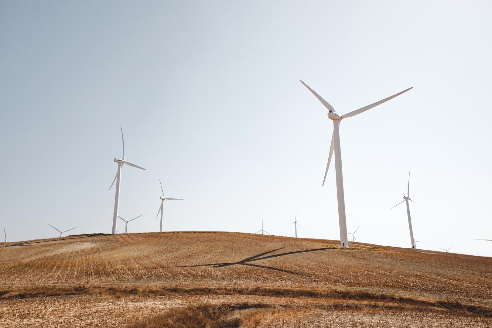 Wind energy farm on an island to provide electricity off the grid.