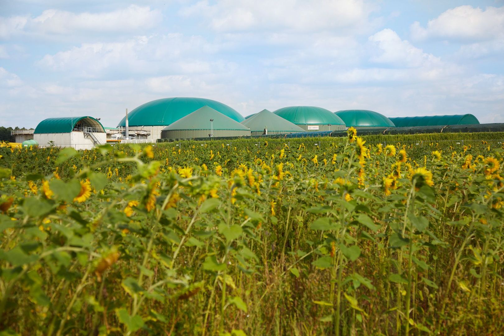 Biogasanlage von Bioconstruct mit PPA von Next Kraftwerke